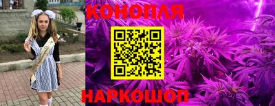 прущие крисы Изобильный